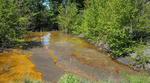 New sensor can detect valuable rare earth element in non-traditional sources