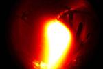 Wendelstein 7-X fusion reactor on path to plasma twice as hot as the Sun