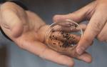 How to find new quantum materials