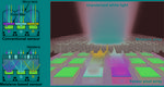 Color-Sorting Metalenses Boost Imaging Sensitivity
