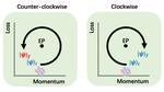 HKUST researchers find new way of gaining quantum control from loss