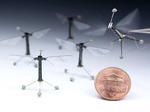 RoboBee Can Now Pivot on a Dime