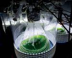 Bioplastics point the way to an environmentally sustainable, green future