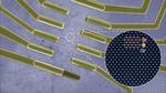 Unique Quantum Material Could Enable Ultra-powerful, Compact Computers