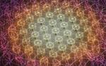 Collective actuation of an elastic network of mini-robots