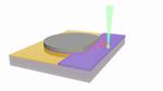 New photodetector design inspired by plant photosynthesis