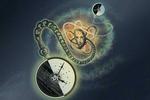 A quantum network of entangled atomic clocks