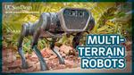 New Algorithms Help Four-Legged Robots Run in the Wild