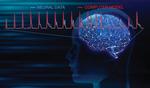 Rare electrical recordings from within the human brain give new picture of neural activity
