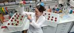 Breaking nitrogen while generating methane