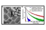 New quantum dots study uncovers implications for biological imaging