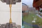 An important step towards strong and durable biobased plastics