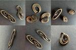 A Butterfly Flaps Its Wings and Scientists Make Jewelry