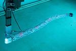 Engineers devise a modular system to produce efficient, scalable aquabots