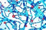 New polymers could enable better wearable devices