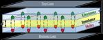 Can a solid be a superfluid? Engineering a novel supersolid state from layered 2D materials