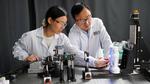 NUS scientists develop a novel light-field sensor for 3D scene construction with unprecedented angular resolution