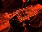 Chip-based QKD achieves higher transmission speeds
