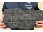 Hydrogen battery: Storing hydrogen in coal may help power clean energy economy