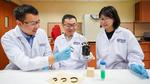 NUS researchers develop first-ever wooden robotic gripper that is driven by moisture, temperature and lighting