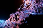 MIT scientists build a system that can generate AI models for biology research