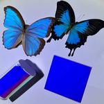 Butterfly-inspired films create vibrant colors while passively cooling objects