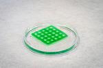3D-Printed ‘Living Material’ Could Clean Up Contaminated Water